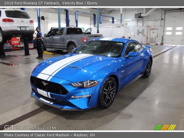 2019 Ford Mustang GT Fastback in Velocity Blue