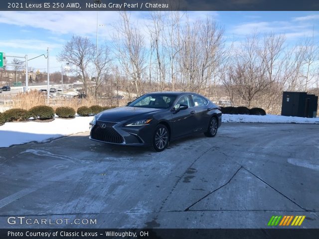 2021 Lexus ES 250 AWD in Nebula Gray Pearl