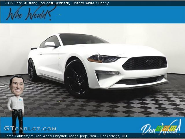 2019 Ford Mustang EcoBoost Fastback in Oxford White