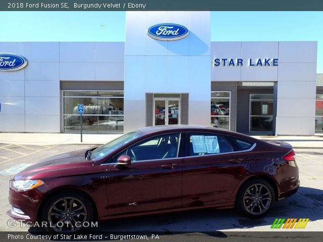2018 Ford Fusion SE in Burgundy Velvet