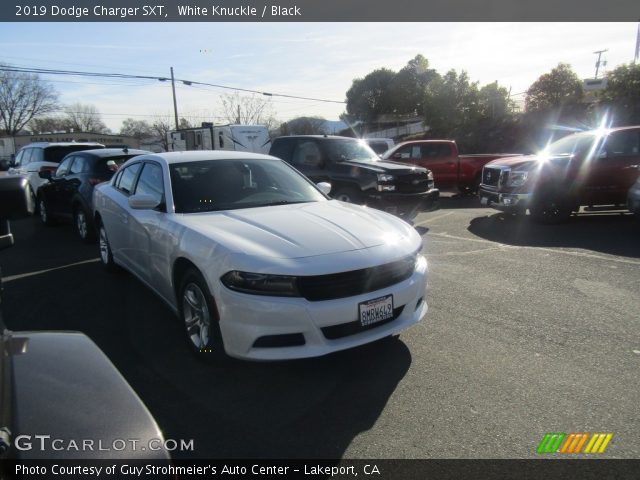 2019 Dodge Charger SXT in White Knuckle