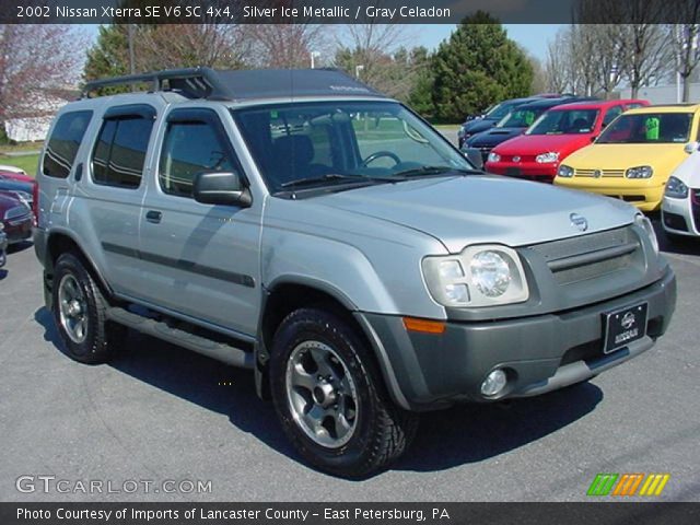 2002 Silver nissan xterra #3