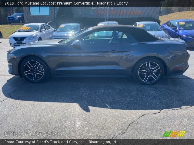 2019 Ford Mustang EcoBoost Premium Convertible in Magnetic