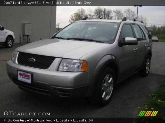 2007 Ford Freestyle SEL in Silver Birch Metallic