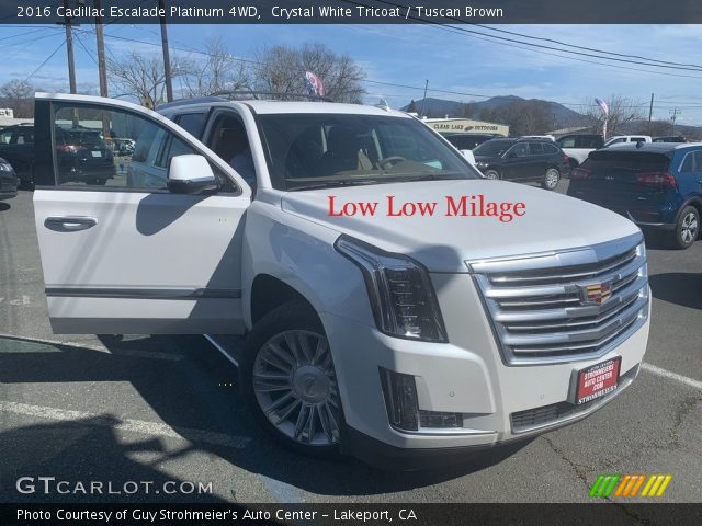 2016 Cadillac Escalade Platinum 4WD in Crystal White Tricoat