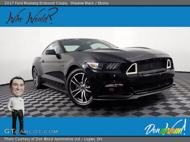 2017 Ford Mustang Ecoboost Coupe in Shadow Black