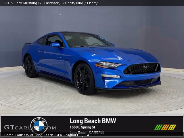 2019 Ford Mustang GT Fastback in Velocity Blue