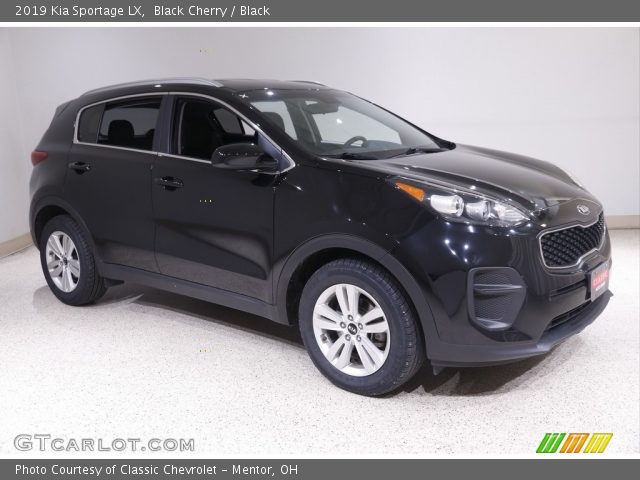 2019 Kia Sportage LX in Black Cherry