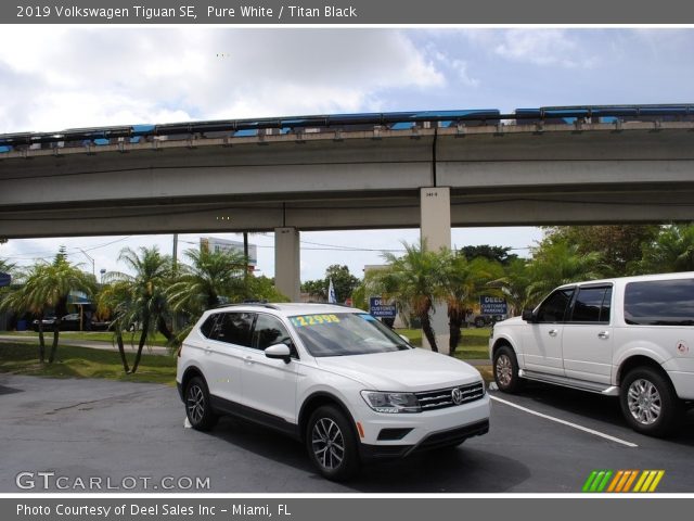 2019 Volkswagen Tiguan SE in Pure White