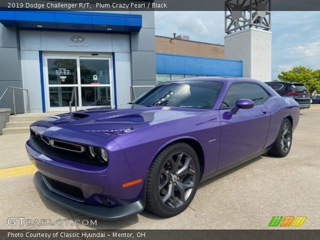 2019 Dodge Challenger R/T in Plum Crazy Pearl