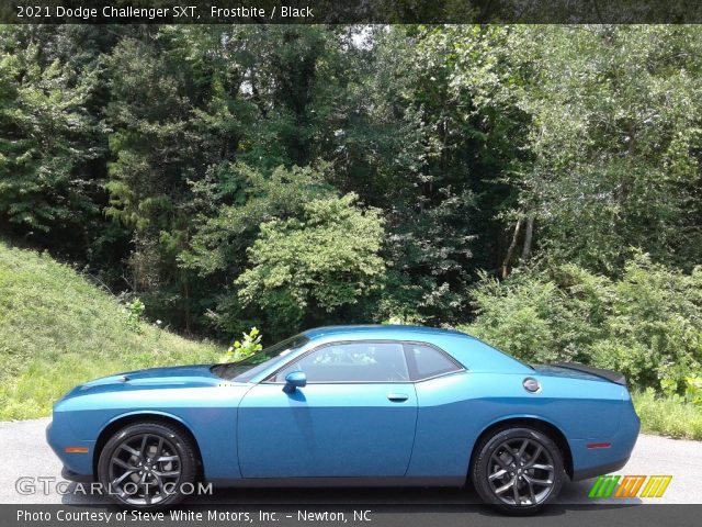 2021 Dodge Challenger SXT in Frostbite