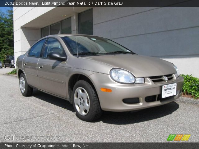 2002 Dodge Neon  in Light Almond Pearl Metallic