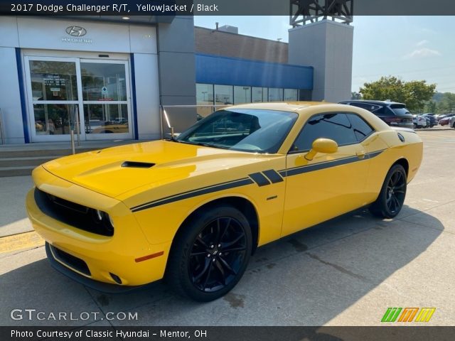 2017 Dodge Challenger R/T in YellowJacket
