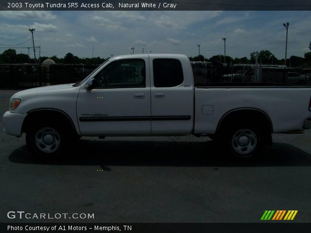 2003 Toyota Tundra SR5 Access Cab in Natural White