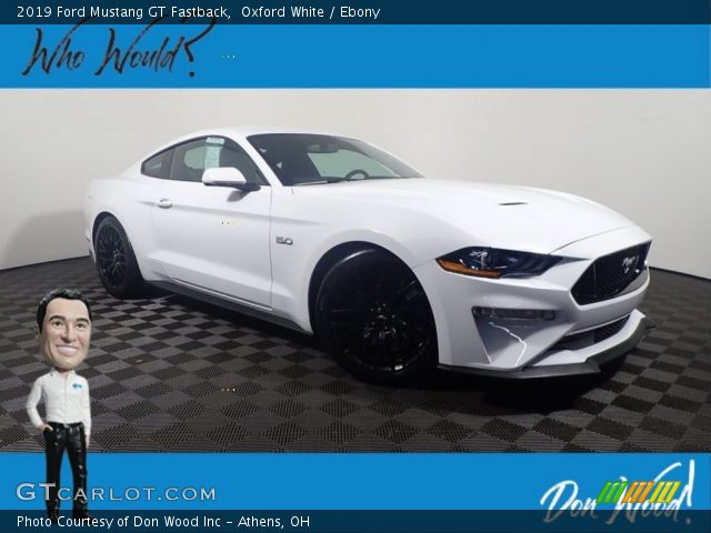 2019 Ford Mustang GT Fastback in Oxford White