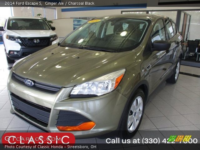 2014 Ford Escape S in Ginger Ale