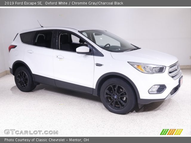 2019 Ford Escape SE in Oxford White