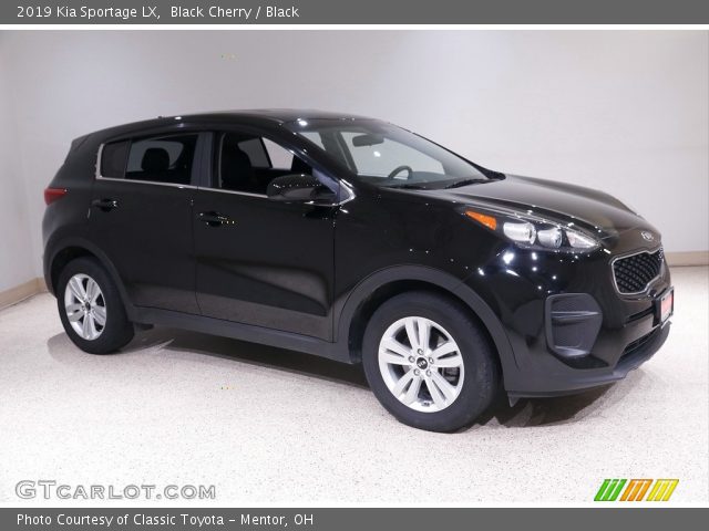 2019 Kia Sportage LX in Black Cherry