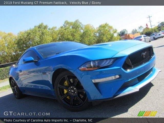 2019 Ford Mustang GT Premium Fastback in Velocity Blue