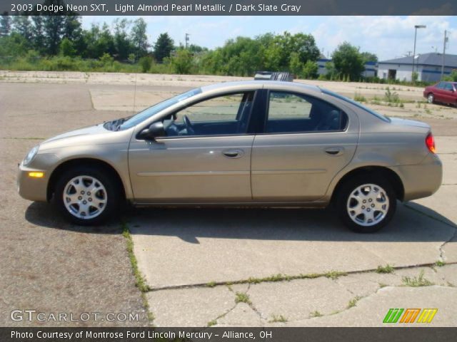 2003 Dodge Neon SXT in Light Almond Pearl Metallic