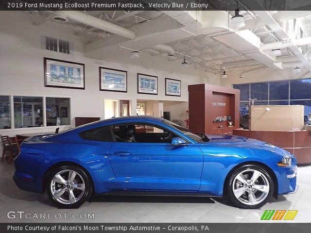 2019 Ford Mustang EcoBoost Premium Fastback in Velocity Blue