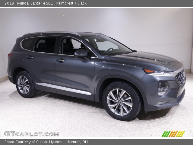 2019 Hyundai Santa Fe SEL in Rainforest