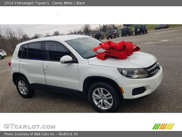 2014 Volkswagen Tiguan S in Candy White