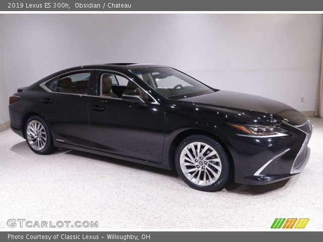 2019 Lexus ES 300h in Obsidian