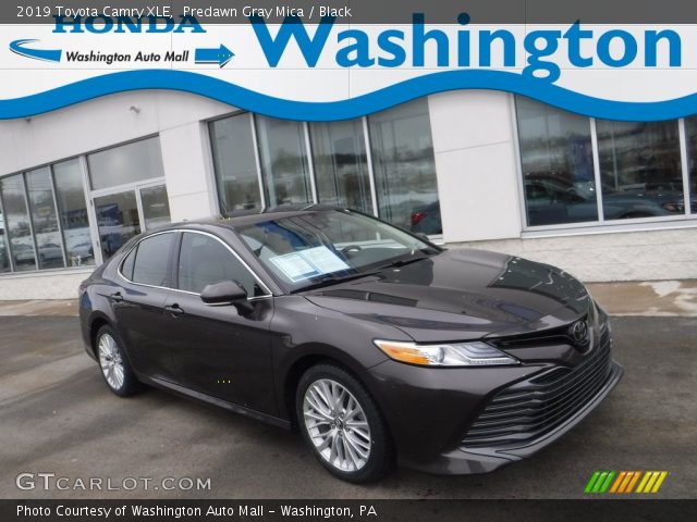 2019 Toyota Camry XLE in Predawn Gray Mica