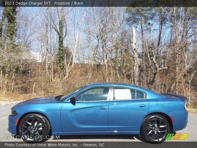 2021 Dodge Charger SXT in Frostbite