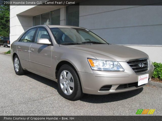 2009 Hyundai Sonata GLS in Camel Pearl