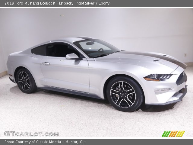 2019 Ford Mustang EcoBoost Fastback in Ingot Silver