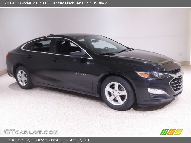 2019 Chevrolet Malibu LS in Mosaic Black Metallic
