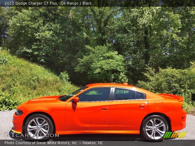 2022 Dodge Charger GT Plus in Go Mango