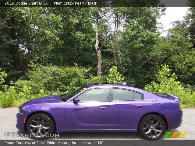 2019 Dodge Charger SXT in Plum Crazy Pearl