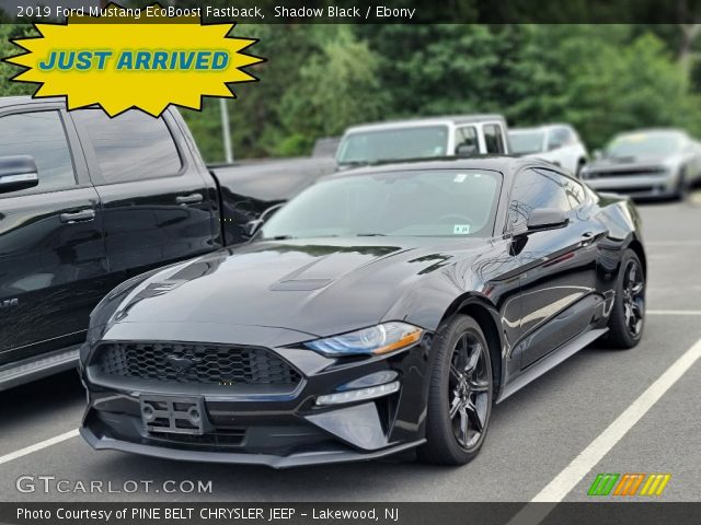 2019 Ford Mustang EcoBoost Fastback in Shadow Black