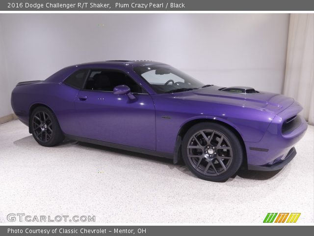 2016 Dodge Challenger R/T Shaker in Plum Crazy Pearl