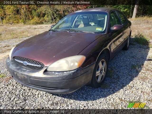 2001 Ford Taurus SEL in Chestnut Metallic