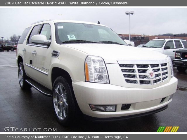 2009 Cadillac Escalade Hybrid AWD in White Diamond