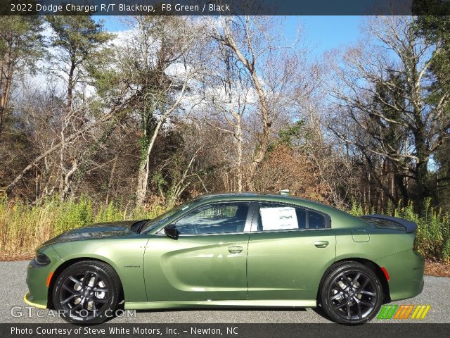 2022 Dodge Charger R/T Blacktop in F8 Green