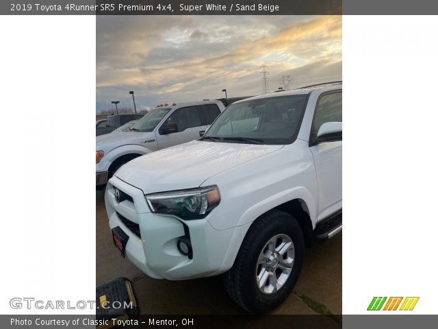 2019 Toyota 4Runner SR5 Premium 4x4 in Super White