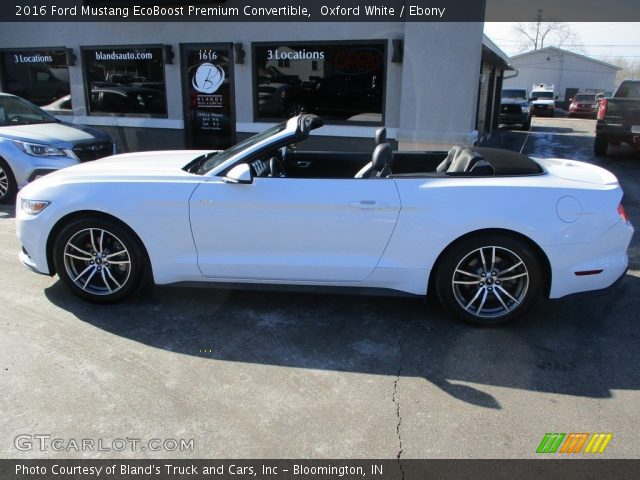 2016 Ford Mustang EcoBoost Premium Convertible in Oxford White