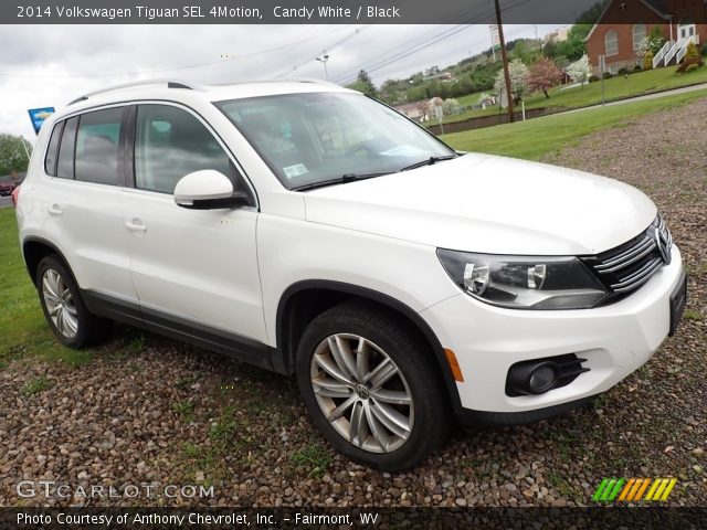 2014 Volkswagen Tiguan SEL 4Motion in Candy White