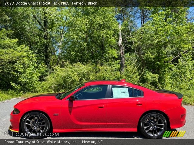 2023 Dodge Charger Scat Pack Plus in Torred