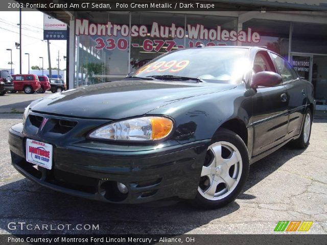 2003 Pontiac Grand Am GT Sedan in Polo Green Metallic
