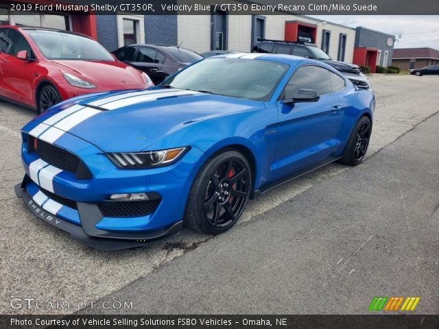 2019 Ford Mustang Shelby GT350R in Velocity Blue