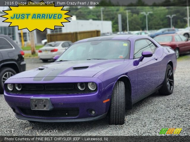 2016 Dodge Challenger SXT in Plum Crazy Pearl