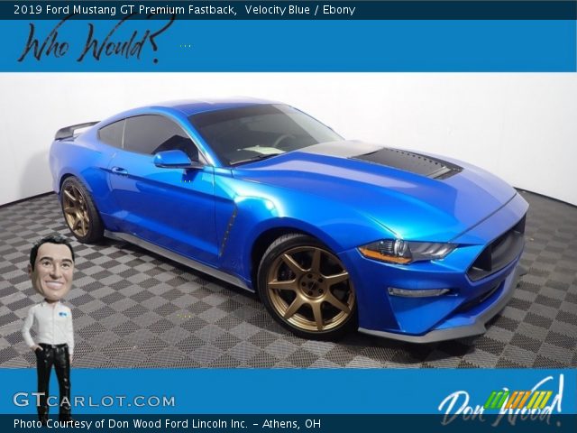 2019 Ford Mustang GT Premium Fastback in Velocity Blue