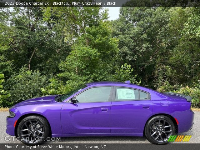 2023 Dodge Charger SXT Blacktop in Plum Crazy Pearl