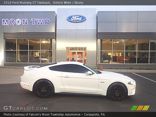 2019 Ford Mustang GT Fastback in Oxford White